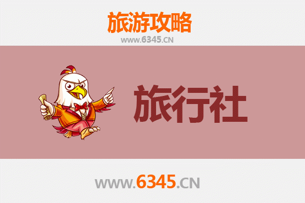 琼中湾岭镇本地旅行社推荐：探索雨林秘境的理想伙伴