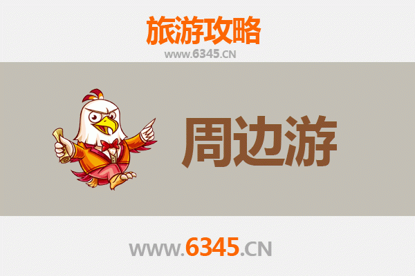 琼中湾岭镇周边游攻略：雨林探秘与黎苗风情体验