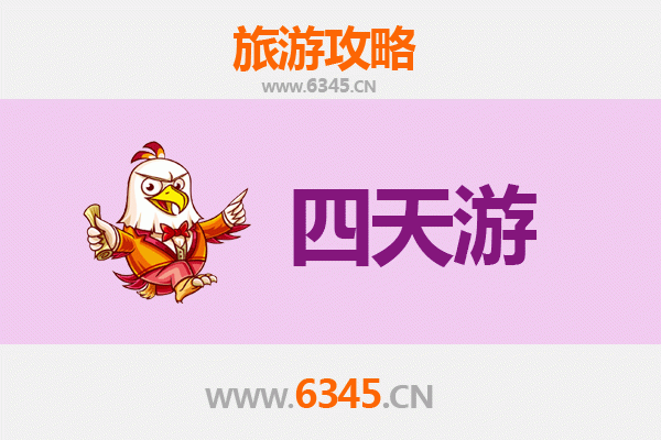 琼中湾岭镇四天三夜深度游攻略：探秘海南中部雨林与黎苗文化