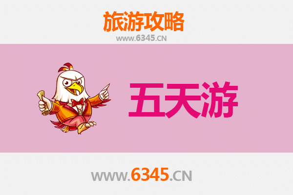 琼中湾岭镇五天四夜深度游攻略：雨林探秘与黎苗文化体验